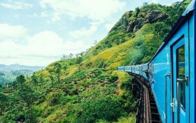 Best Tours & Experiences in Ella