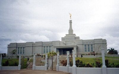 Best Tours & Experiences in Suva