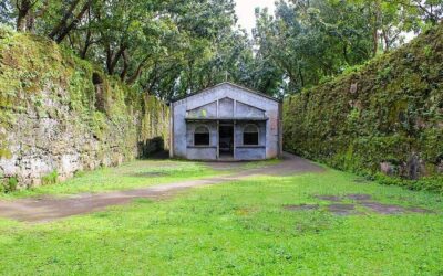 Best Tours & Experiences in Camiguin