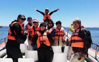 Best Tours & Experiences in Chiloe Island, Chile