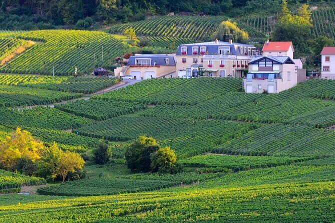 Epernay South Half Day Visit and Champagne Tastings - Epernay France