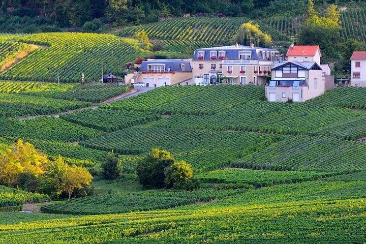 Epernay South Half Day Visit and Champagne Tastings
