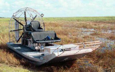 Everglades Airboat Tour: What to Expect and How to Choose One