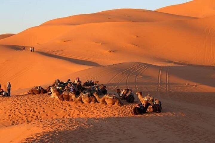 Best Tours & Experiences in Tangier 12 Explore Tangier: Cape Espartel, caves and camel ride.