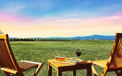 Yarra Valley Wine Tour w Exclusive Gin, Cider & Chocolate Tasting (2026 Review & Booking Guide)
