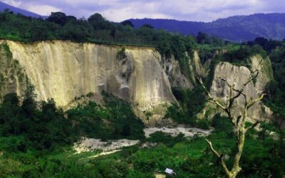 Best Tours & Experiences in Batam, Indonesia