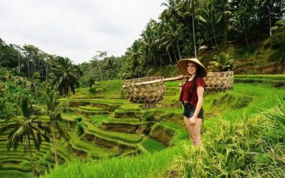 Private 1-Day Ubud Highlights Tour (2026 Review & Booking Guide)