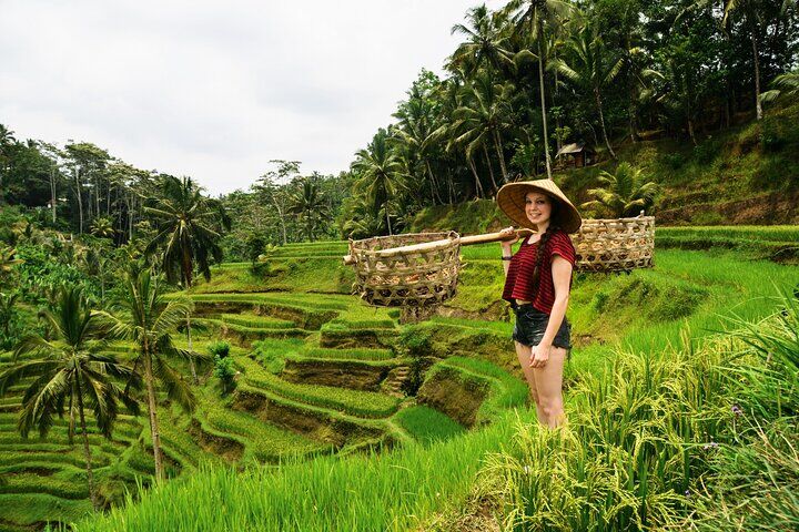 Private 1-Day Ubud Highlights Tour in Ubud