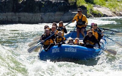 Grand Teton Wildlife Safari in a Enclosed or Open-Air Vehicle (season dependent) (2026 Review & Booking Guide)