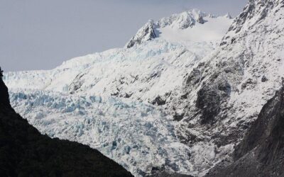 Best Tours & Experiences in Franz Josef