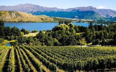 Queenstown airport to Queenstown City Center: Transfer Options (2026)