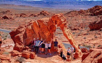 Small Group: Valley of Fire Half Day Tour from Las Vegas (2026 Review & Booking Guide)