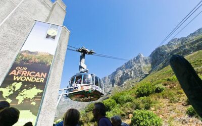 Table Mountain, Penguins & Cape Point Group Tour from Cape (2026 Review & Booking Guide)