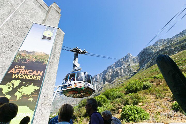 Table Mountain, Penguins & Cape Point Group Tour from Cape (2026 Review & Booking Guide) 1 Table Mountain, Penguins & Cape Point Group Tour from Cape in Cape Town