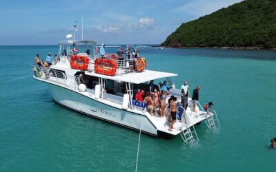 Culebra Snorkel with Turtles & Flamenco Beach Adventure by Ferry (2026 Review & Booking Guide)