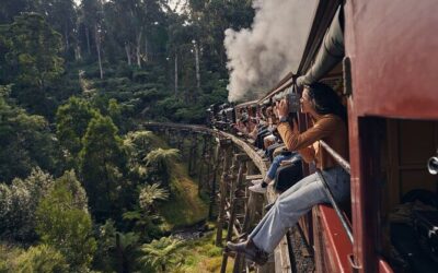 Best Tours & Experiences in Melbourne