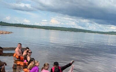 Best Tours & Experiences in Manaus