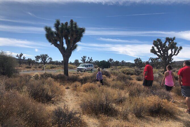 Joshua Tree National Park Van Tour