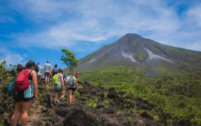 Sloth Watching Tour in La Fortuna – Wildlife Experience (2026 Review & Booking Guide)