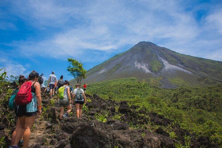 Sloth Watching Tour in La Fortuna – Wildlife Experience in La Fortuna