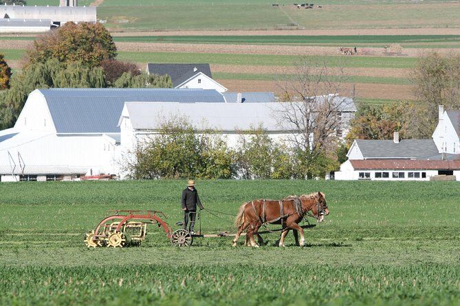 Migliori tour ed esperienze ad Amish Country in Ohio 18 Premium Amish Country Tour Amish Farm and House - Amish Country Ohio