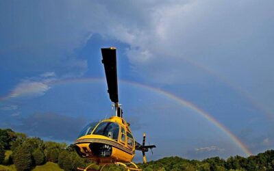 7-Line Zipline Experience in Sevierville (2026 Review & Booking Guide)