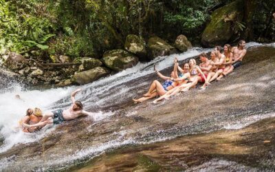 Fun, Falls and Forest Day Trip from Cairns (2026 Review & Booking Guide)