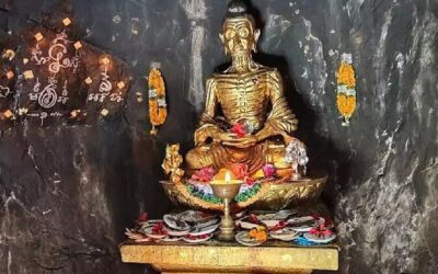Best Tours & Experiences in Bodh Gaya