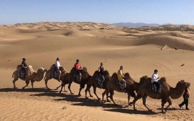 Best Tours & Experiences in Hohhot, China