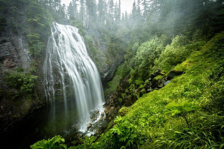 Mt. Rainier National Park Highlights Tour (2026 Review & Booking Guide) 1 Mt. Rainier National Park Highlights Tour in Seattle