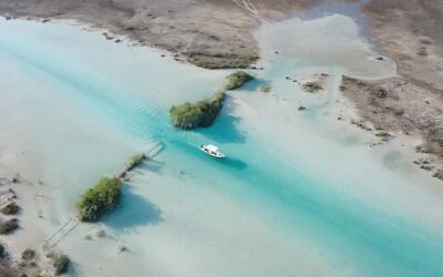 Best Tours & Experiences in Bacalar