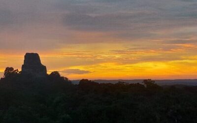 Best Tours & Experiences in Flores