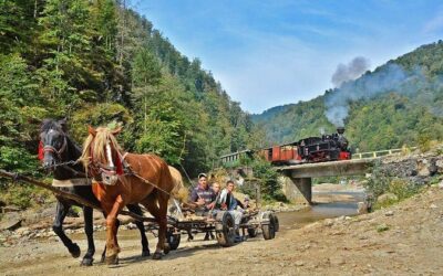 Best Tours & Experiences in Maramures Romania