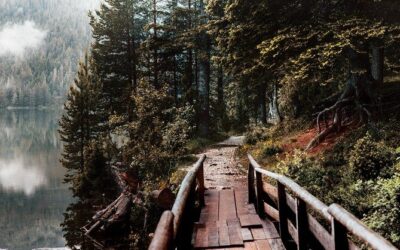 Best Tours & Experiences in Zabljak Montenegro