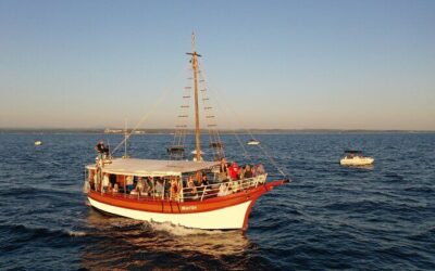 Best Tours & Experiences in Porec Croatia