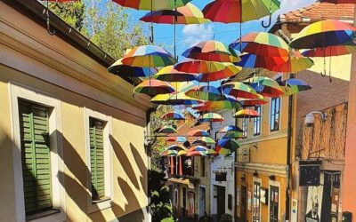 Best Tours & Experiences in Visegrad Hungary