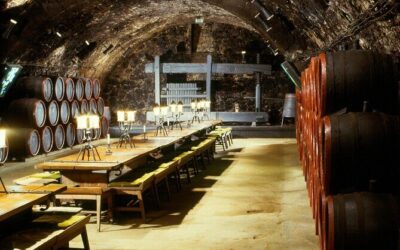 Best Tours & Experiences in Tokaj Hungary