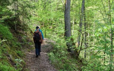 Best Tours & Experiences in Sigulda Gauja Latvia