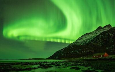 Best Tours & Experiences in Bodo Norway