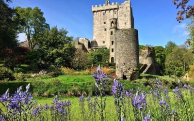 Best Tours & Experiences in Cork Cobh Ireland