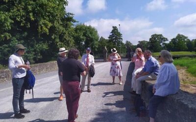 Best Tours & Experiences in Adare Ireland