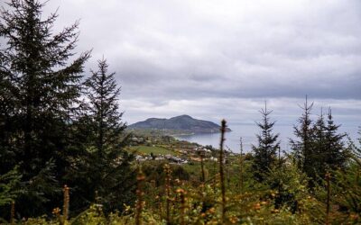 Best Tours & Experiences in Arran Isle Scotland
