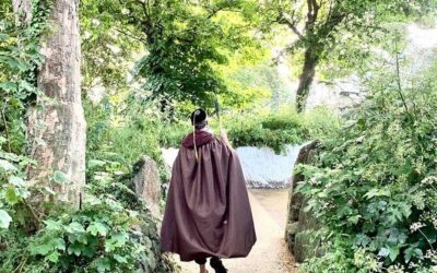 Best Tours & Experiences in St Davids Wales