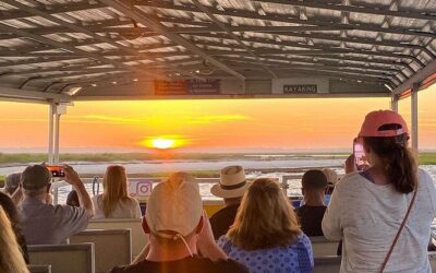 Best Tours & Experiences in Chincoteague Virginia