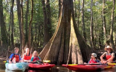 Best Tours & Experiences in Columbia South Carolina Congaree