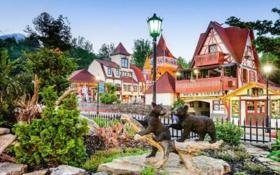 Best Tours & Experiences in Dahlonega Wine Country Georgia