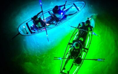 Best Tours & Experiences in Rockport Texas