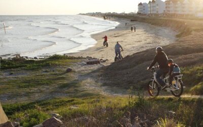Best Tours & Experiences in Galveston Island State Park
