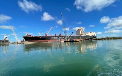 Best Tours & Experiences in Brownsville Texas
