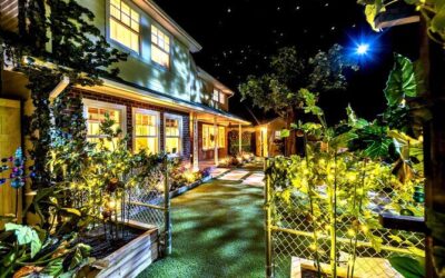 Best Tours & Experiences in Grapevine Texas
